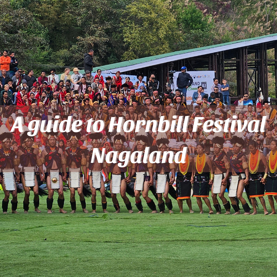 A guide to Hornbill Festival Nagaland