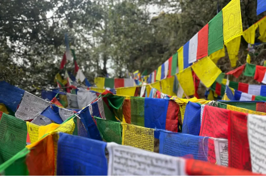 Colorful Tibetan lungta prayer flags fluttering in the wind against a clear blue sky, symbolizing blessings and positive energy.