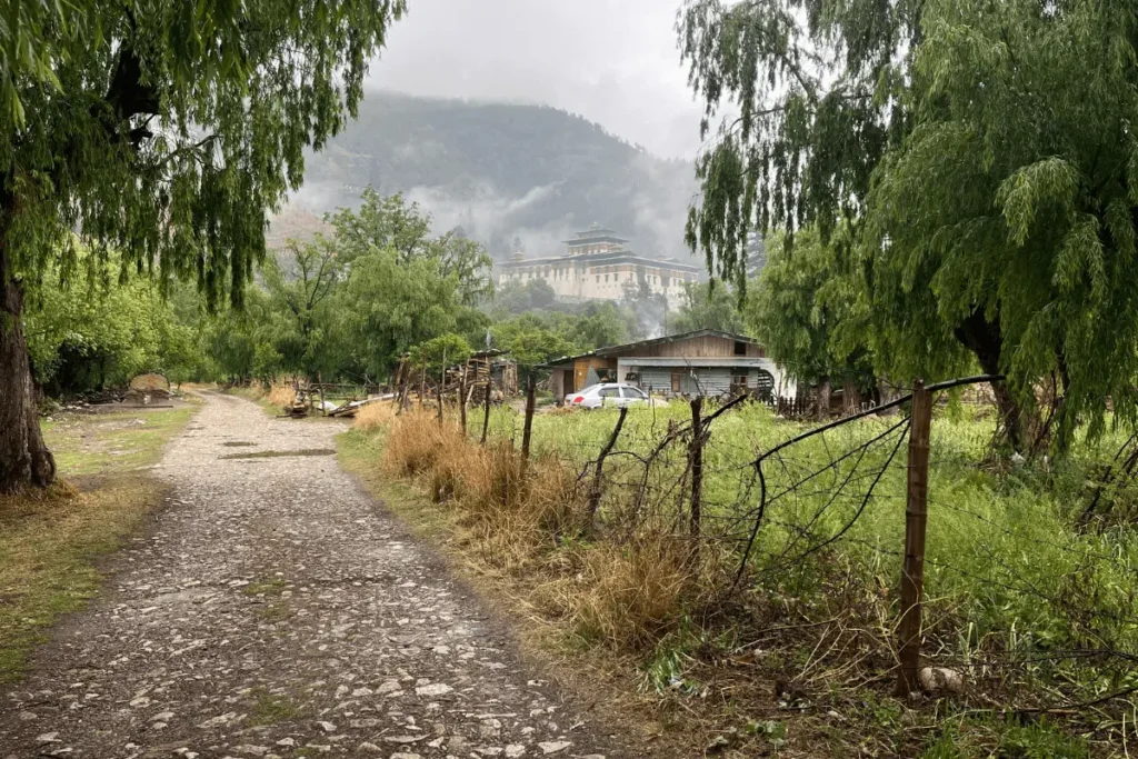 Morning walk through a forest path in Paro, Bhutan, with Paro Dzong in the distance.