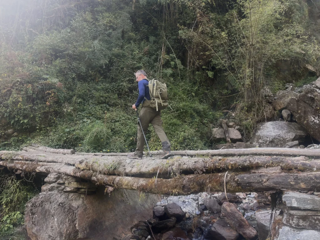 A traveler walking across a tree bridge